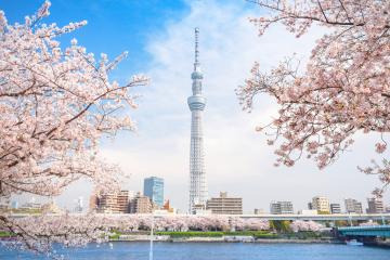 日本房价走势及预测：2023年东京房价或将再次上涨？
